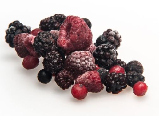 DIRAFROST FOREST FRUITS MIX WITHOUT STRAWBERRY 4 X 2,5KG KG