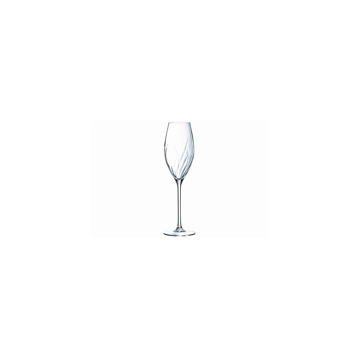 CRISTAL D'ARQUES VERRE SWIRLY FLUTE CHAMPAGNE 24CL