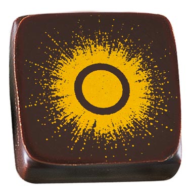 08056848
