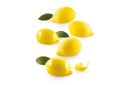 MOULE SILIKOMART LIMONE 30 55 X 38MM H 27MM VOL 30ML