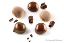 MOULE SILIKOMART MARRON GLACE 30 47X48H 25MM CURVFLEX BLC