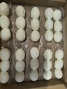EIPRO OEUFS DURS ECALES 30PC PIZZABOX