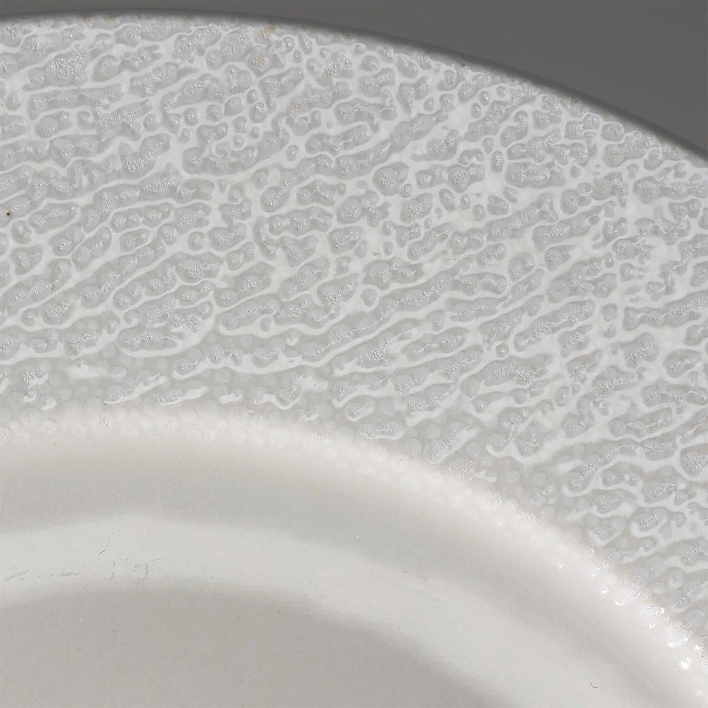 BONBISTRO ASTRO - ASSIETTE PLATE BLANCHE EN POCELAINE 32CM 