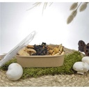 RAVIER EN CARTON KRAFT 17 x 12CM HT 4.3CM 500ML 25PCS **SANS COUVERCLE**