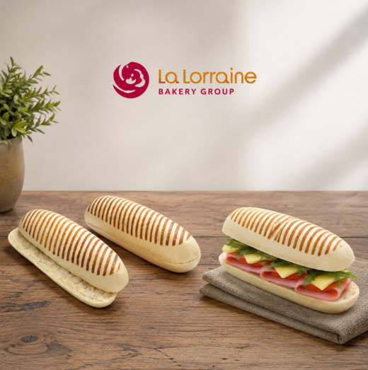 ❄️DAUPHINE 2104154 PANINI BLANC PRE GRILLE PRE COUPE 27CM 45X125GR