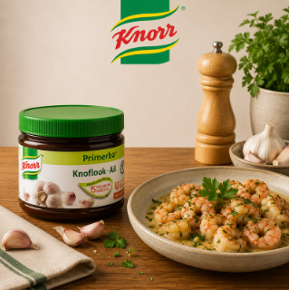KNORR PRIMERBA AIL 340GR ***S/CDE***