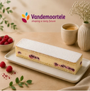 ❄️VAMIX B252 BANDE DE BAVAROIS MACARON AUX FRAMBOISES 36X8CM 700GR