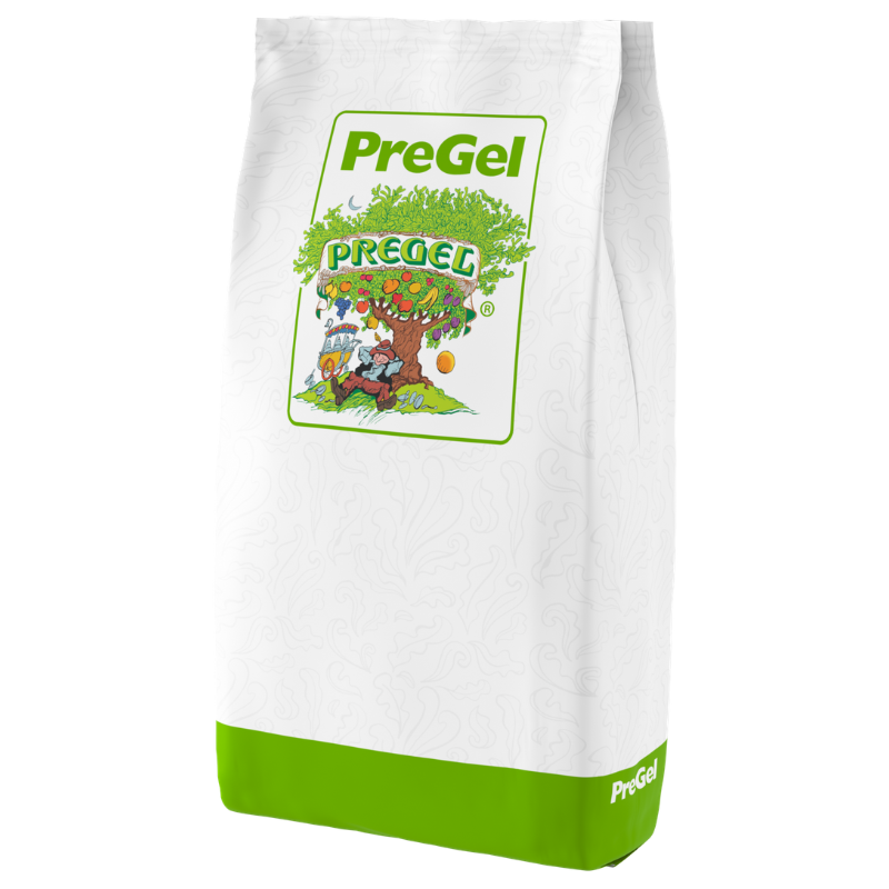 PREGEL BASE DIAMANT 100 POUR GLACE LAIT CHAUD 1,5 KG