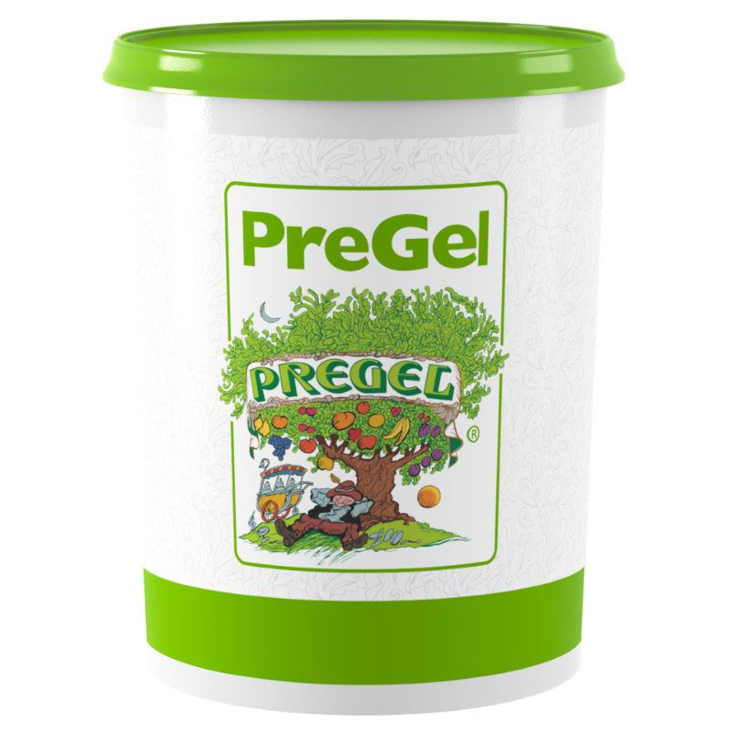 PREGEL PANNACREMA AROME CONCENTRE CAPPUCCINO / LATTE MACCHIATO 6KG