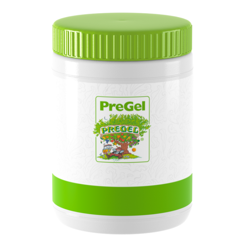 PREGEL PANNACREMA AROME CONCENTRE FRAISE 1,1KG