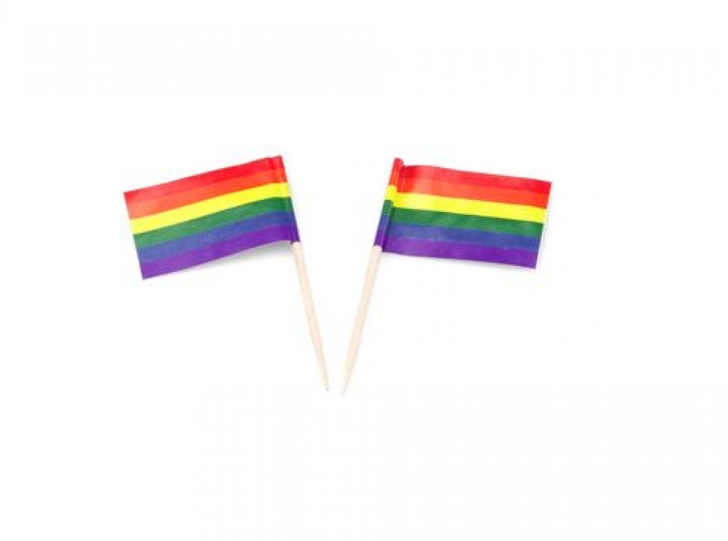 PIQUE AVEC DRAPEAUX ARC-EN-CIEL 500PCES 