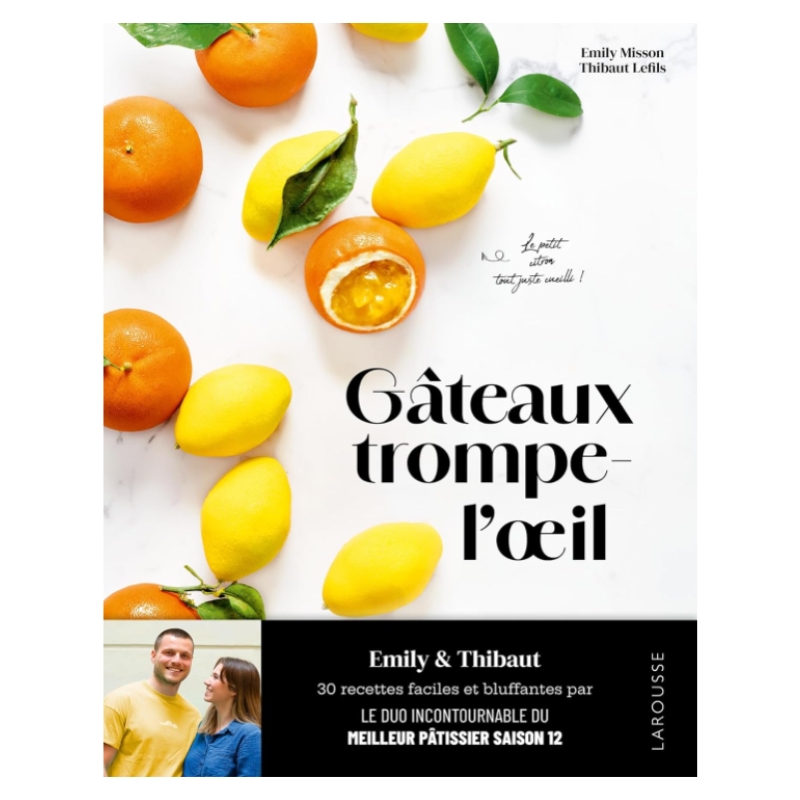BOEK "GATEAUX TROMPE L OEIL" DOOR EMILY MISSON EN THIBAUT LEFILS LAROUSSE EDITIE