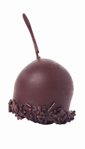 BRUYERRE GUINETTES PRALINE MET SMELTKERN 1KG