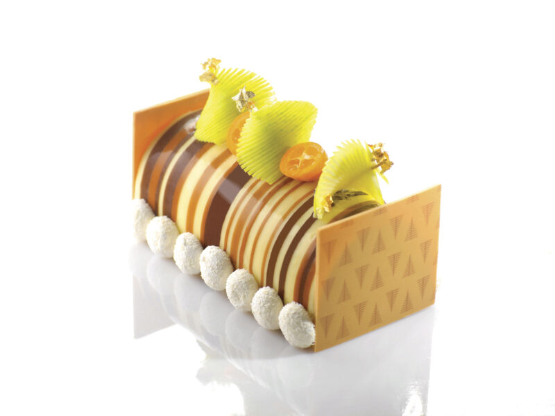 060127 PCB PRINTED PET STRIPES SHEETS FOR LOG 52.7X17.7 CM 25 PCS ***S/CD***