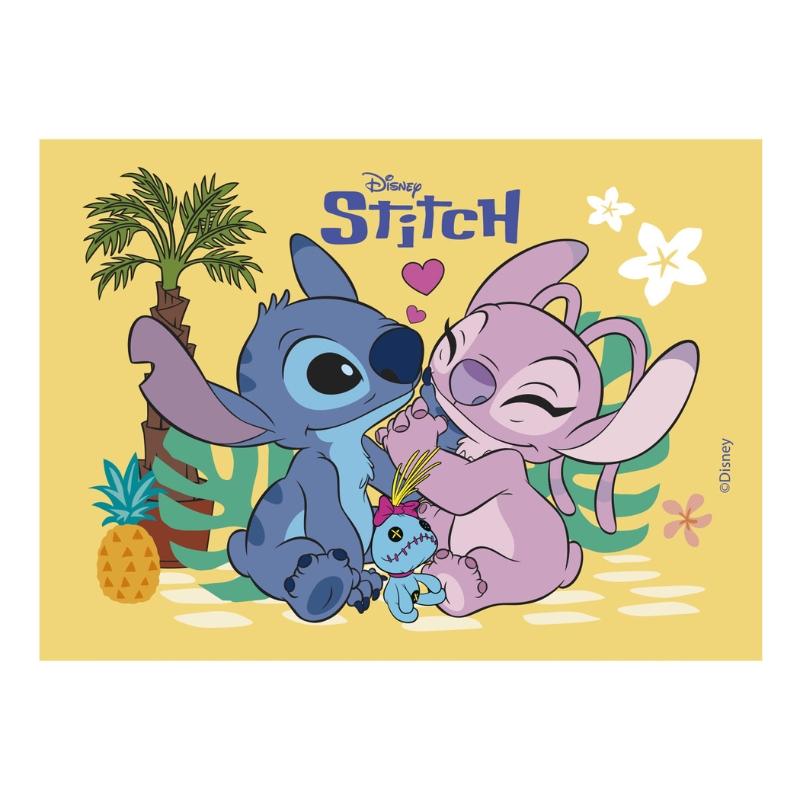 ZETMEELVEL STITCH 14,8X21CM A5