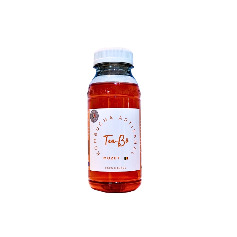 Kombucha Tea-Bô Coco Mangue 25CL 