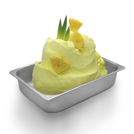 MEC3 08071A ANANAS C.P. 500 FAST 1,25KG