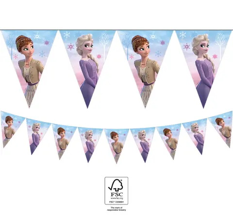 *FDS*FROZEN II WIND SPIRIT  GUIRLANDE DRAPEAUX 1pc