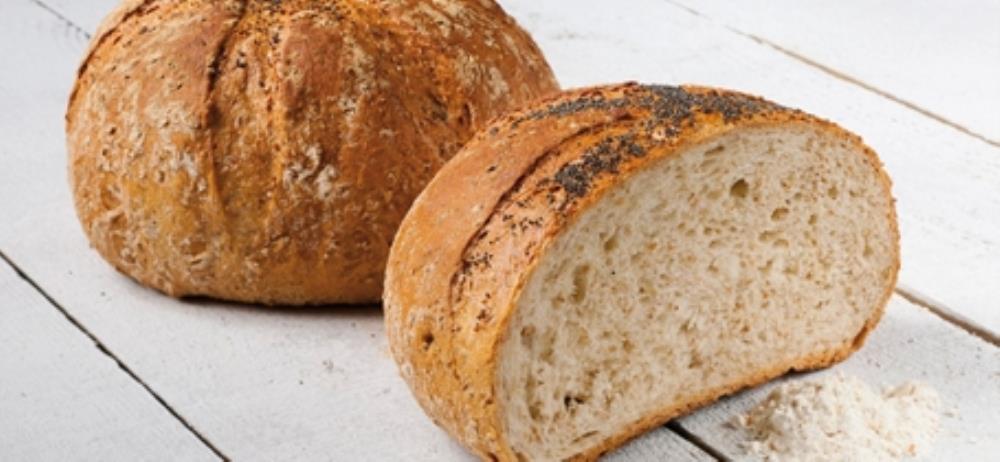 DOSSCHE FARINE NATURAL BELGAVITA  (GRISE) 25KG