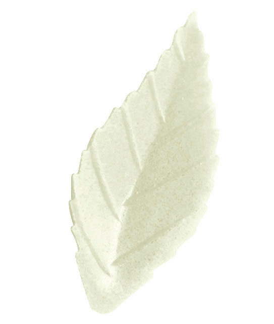 FRN02 FEUILLES DE ROSE BLANCHE AZYME 38MM 500 PCES