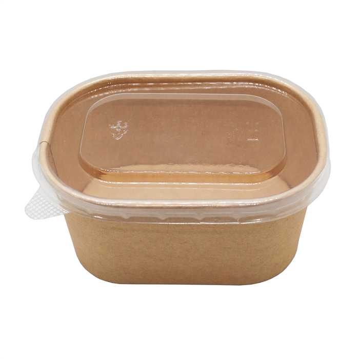 TRANSPARANT DEKSEL VOOR KRAFT BAKJE RAS500/750/1000 25 STUKS 17 X 12 X H 1 CM