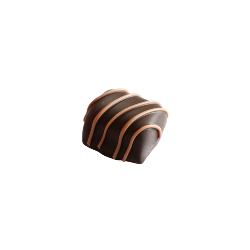 PRALINE BRUYERRE NOIR CARAMELO - GANACHE CARAMEL 1KG 