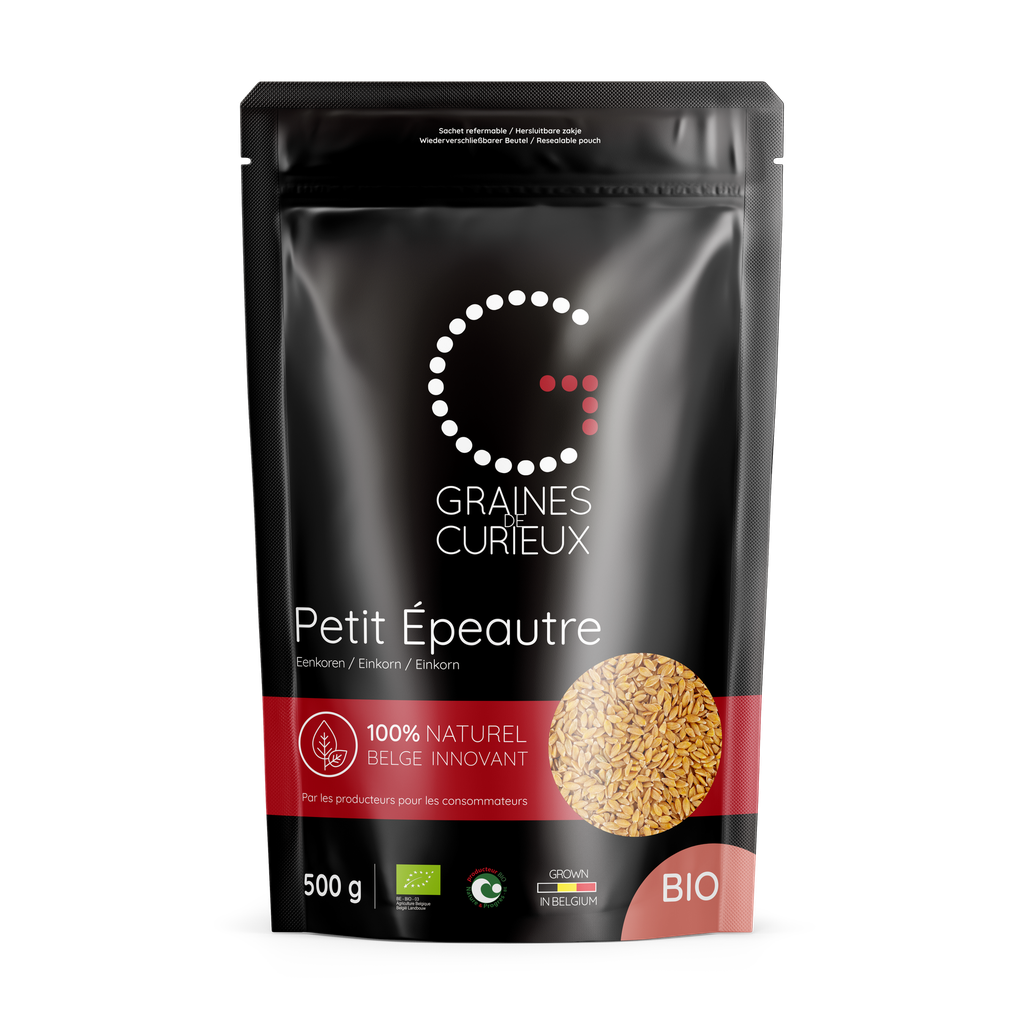 GRAINES DE PETIT EPEAUTRE BIO 500GRS