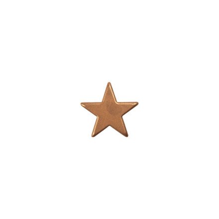  2015574 CHOCOLADE BRONZEN STER PLAAT Ø 25MM 175 STUKS