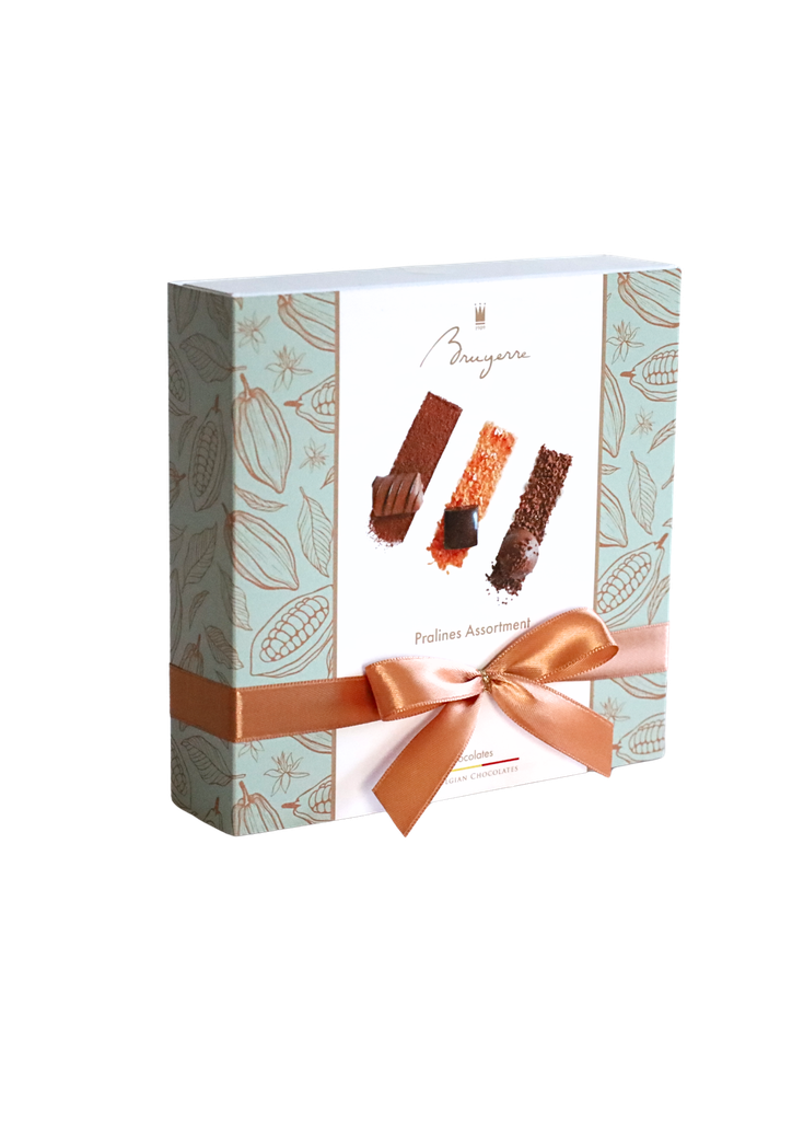 BRUYERRE BOITE 9 PCES ASSORTIMENT PRALINES 115GR 12PIECES en attente choco