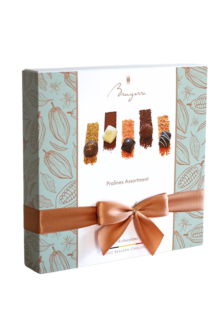 BRUYERRE BOITE 16 PCES ASSORTIMENT PRALINES **COLIS DE 8 X 195GR