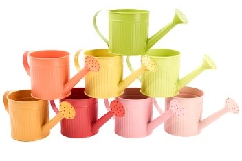 ARROSOIR EN ZINC ASSORTIMENT DE 10 COULEURS D'ETE DIAM 10.5CM HT 10.5CM