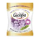 GICOPA VIOLET SNOEPJES DISPLAY 24X100GR