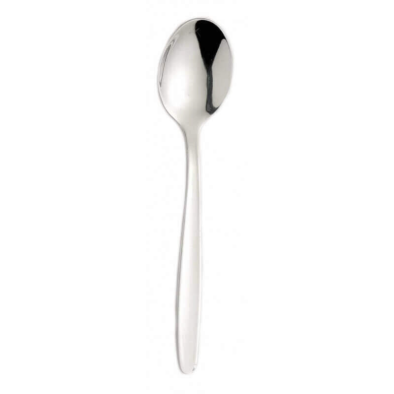 FRIDA INOX KOFFIELEPEL 18/10 12 STUKKEN=STUK