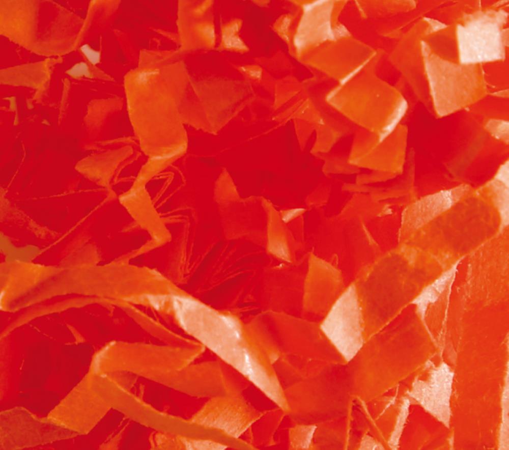 +FRISURE PLISSEE ORANGE 1.250KG FOST+ INCLUDED