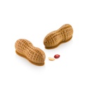 SILIKOMART - MOULE TROMPE L'OEIL - ARACHIDE 100 N°6 107 x 43MM HT 40MM + CUTTER