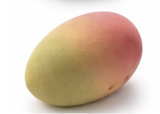 ❄️BRUYERRE GATEAU TROMPE L'OEIL MANGUE 24X110GR  