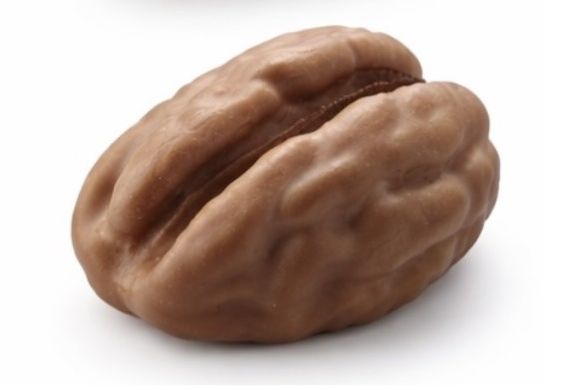 ❄️BRUYERRE GATEAU TROMPE L'OEIL PECAN 24X85GR