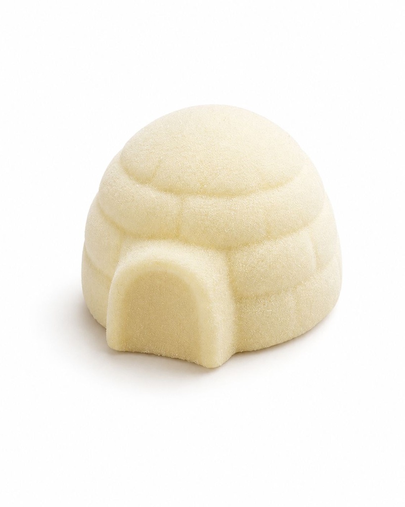 ❄️BRUYERRE GATEAU TROMPE L'OEIL IGLOO VANILLE CARAMEL 24 X 90G **S/CDE**