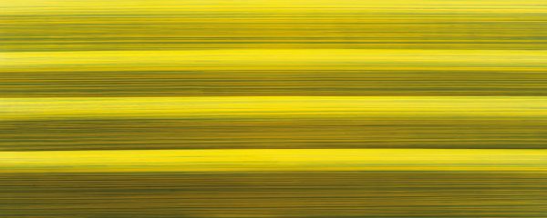 061330 PCB FEUILLES IMPRIMÉES LE PEIGNE D EDDY 40X25 CM 17PCES ***S/CD***