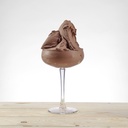 PREGEL PANNACREMA AROME CHOCOLAT FONDANT *CACAOPAT6KG