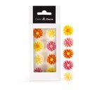 1039315 ASSORTIMENT MARGUERITE 2D EN CHOCOLAT Ø 25MM8 PCES