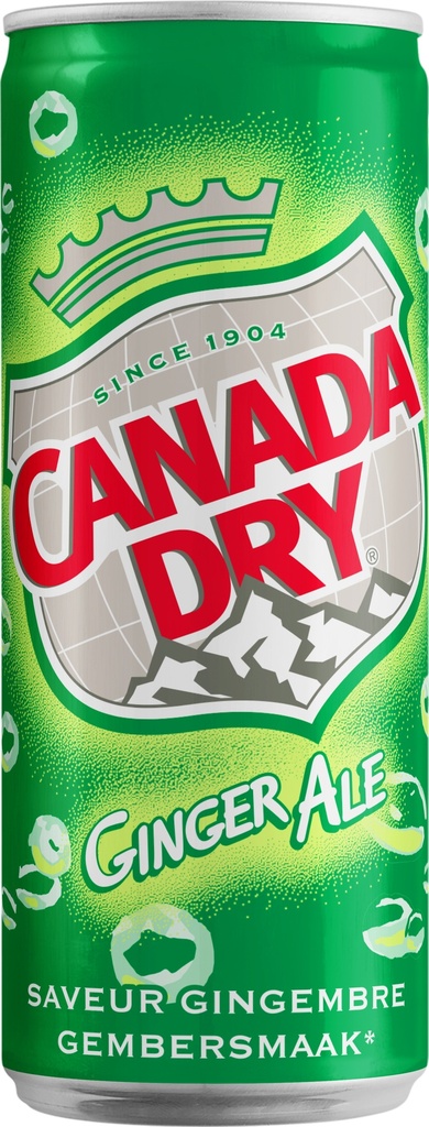 BOISSON CANADA DRY  CANETTE SLIM   24 X 33CL
