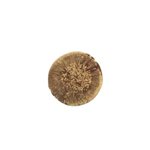 1034764 GOLD CLASH DARK 4CM 100PCS 