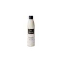 APOLLO MAYO CITRON VERT CORIANDRE 250ML