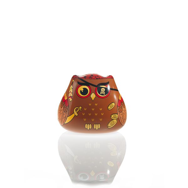 061225 PCB MOLDS PIRATE OWLS FOR 6 PIECES 12X10 CM 12PCES ***S/CD***