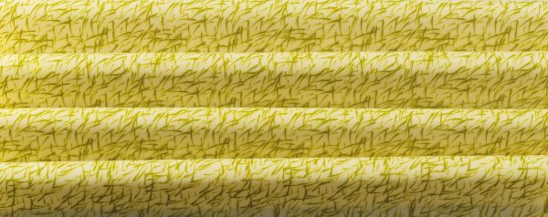 061331 PCB FEUILLES IMPRIMÉES HERBES 40X25 CM 17PCES ***S/CD***