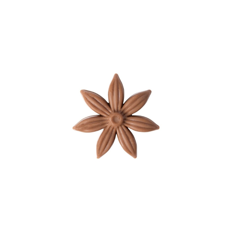 1000079 STAR ANISE 3 CM 200PCS ***S/CDE***