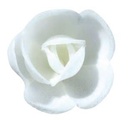 RP05 PETITE ROSE 40MM AZYME BLANCHE-ROSE-ROSE CARMIN  72PCES