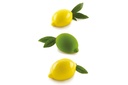 TROMPE L'OEIL - SILIKOMART VORM LIMONE & LIME 88,5 X 61,5MM H44,7MM VOL 120ML