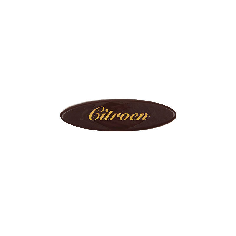 64053 CITROEN 300 STUKKEN = DOOS